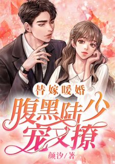 《替嫁暖婚：腹黑陆少宠又撩》完结小说(全文在线阅读)