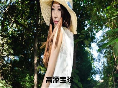 高添宝珍（宝珍高添）全文小说-宝珍高添小说最新章节免费阅读