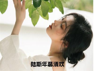 陆斯年慕清欢（陆斯年慕清欢）全文免费阅读无弹窗大结局_陆斯年慕清欢全文免费阅读最新章节列表_