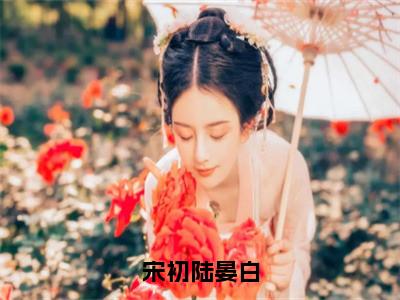 宋初陆晏白（陆晏白宋初）全文免费阅读无弹窗大结局_宋初陆晏白最新章节列表_（陆晏白宋初）