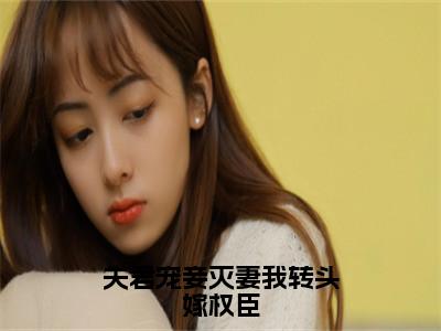 夫君宠妾灭妻我转头嫁权臣在线阅读全文免费阅读无弹窗大结局_沈琼芝孙鸿渐最新章节列表_