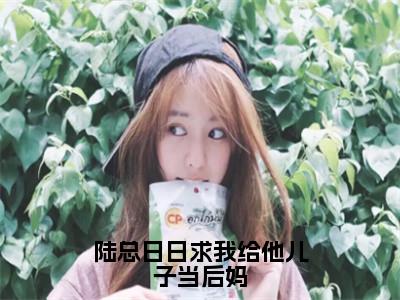 陆总日日求我给他儿子当后妈（陆忱时洛心）小说全文免费阅读无弹窗-陆总日日求我给他儿子当后妈小说全文免费阅读最新章节列表（陆忱时洛心）