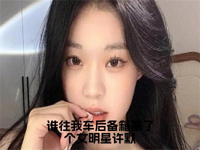 许默（谁往我车后备箱塞了个女明星许默）全文在线免费阅读无弹窗_许默最新章节列表_