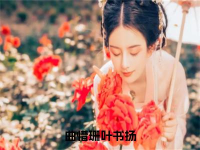 曲惜珊叶书扬主角是叶书扬曲惜珊全文免费阅读无弹窗-曲惜珊叶书扬最新章节列表