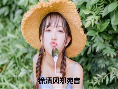 徐清风郑宛音全文免费无弹窗大结局_郑宛音徐清风免费徐清风郑宛音最新章节列表_