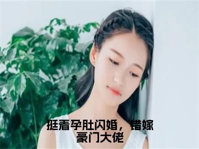 挺着孕肚闪婚，错嫁豪门大佬（宋雪薇陆铭轩）全文免费阅读无弹窗_挺着孕肚闪婚，错嫁豪门大佬完整版最新阅读_（宋雪薇陆铭轩）