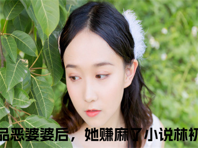 林初渔大结局免费阅读穿成极品恶婆婆后，她赚麻了最新热点小说