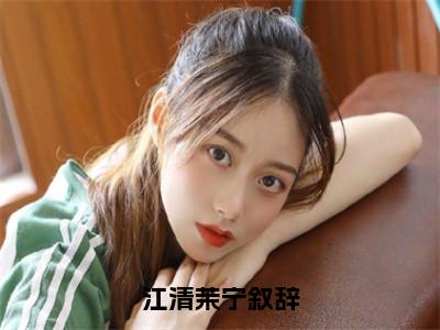 江清茉宁叙辞免费小说全文免费阅读无弹窗大结局_江清茉宁叙辞完结版在线阅读