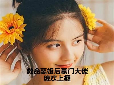 救命离婚后豪门大佬缠欢上瘾全文免费阅读无弹窗大结局_（救命离婚后豪门大佬缠欢上瘾小说）乔婉盛夜城在线免费阅读