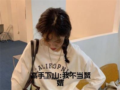 高手下山:我不当赘婿全集完整版大结局-李沐尘小说在线赏析