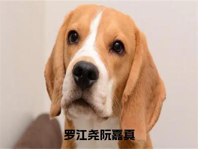 罗江尧阮嘉真（罗江尧阮嘉真）小说最后结局-（罗江尧阮嘉真）完结版免费阅读