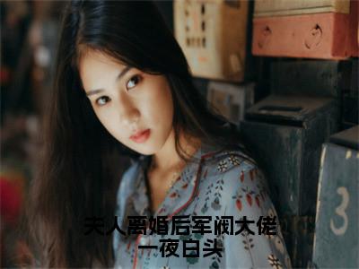 夫人离婚后军阀大佬一夜白头小说大结局精彩推荐，宁祯盛长裕全文完整版在线阅读