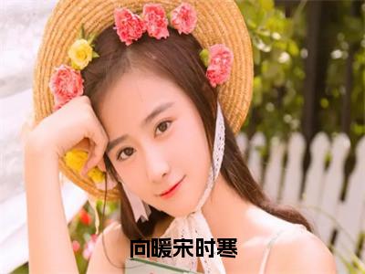 向暖宋时寒（向暖宋时寒）全文免费阅读无弹窗大结局_（向暖宋时寒）小说免费阅读最新章节列表