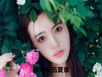 好书推荐小说顾寒笙伍夏音（伍夏音顾寒笙）-顾寒笙伍夏音全文免费阅读大结局