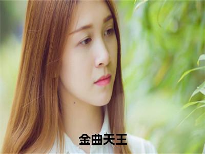 李飞小说（金曲天王）无弹窗大结局-金曲天王（李飞）完整版免费阅读