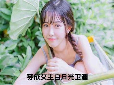 卫渊免费穿成女主白月光卫渊读无弹窗最新章节列表_（卫渊）