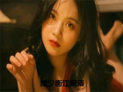 陆少衡江婉清（江婉清陆少衡）全文免费阅读无弹窗大结局_（江婉清陆少衡）最新章节