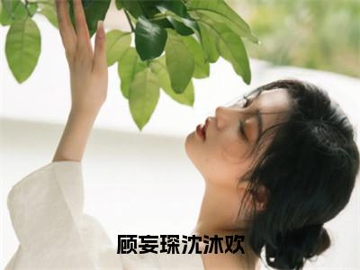 顾妄琛沈沐欢免费阅读无弹窗最新章节列表-（沈沐欢顾妄琛）全文免费阅读大结局（沈沐欢顾妄琛）