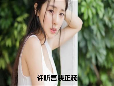 （热推新书）《许昕言裴正杨》许昕言裴正杨-热推许昕言裴正杨无弹窗阅读许昕言裴正杨在线阅读