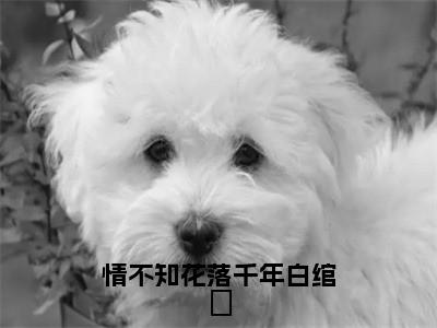 情不知花落千年白绾玥在线阅读（白绾玥南钰）全文免费阅读无弹窗大结局_白绾玥南钰免费最新章节列表