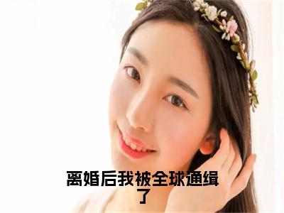 夏洛特小说（离婚后我被全球通缉了）全文免费阅读无弹窗大结局_离婚后我被全球通缉了小说最新章节_（夏洛特）