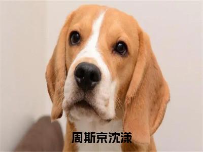 （沈漾周斯京）周斯京沈漾无弹窗免费阅读沈漾周斯京大结局无删阅读_