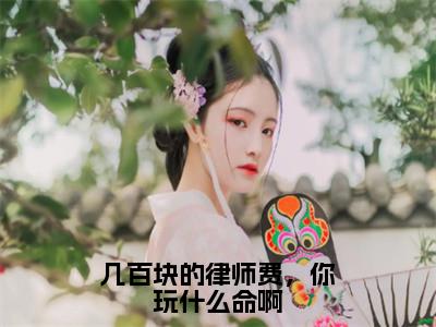 几百块的律师费，你玩什么命啊全文免费阅读无弹窗大结局-苏白全文在线阅读