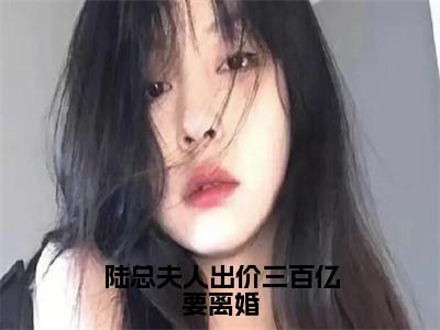 陆总夫人出价三百亿要离婚（沈倾心陆霆御）全章节完整版免费小说_陆总夫人出价三百亿要离婚最新章节在线阅读_