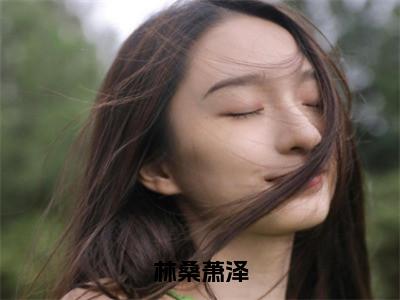 林桑萧泽免费小说（萧泽林桑）全本免费阅读-林桑萧泽最新章节列表