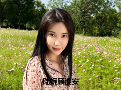 陆婉顾淮安小说最新试读_顾淮安陆婉小说名是（陆婉顾淮安）_