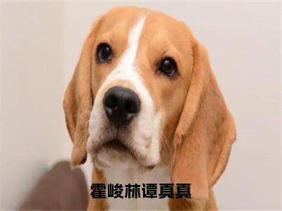 霍峻林谭真真（谭真真霍峻林）全文免费阅读无弹窗大结局_霍峻林谭真真全文免费阅读_