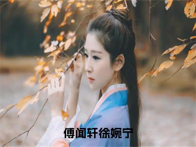 傅闻轩徐婉宁小说全文（徐婉宁傅闻轩）免费阅读全文无弹窗大结局_徐婉宁傅闻轩免费阅读无弹窗小说_